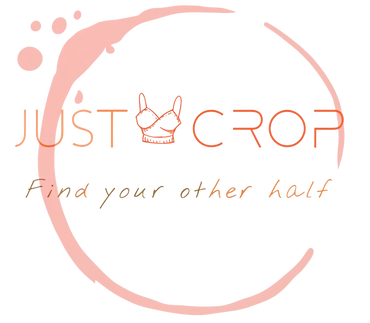 Just Crop Top